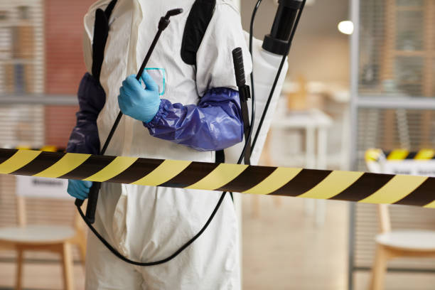 Professional Sewage Cleanup technician working in Temple, TX